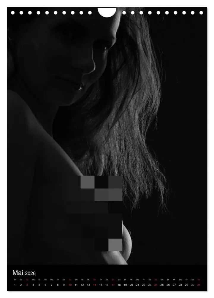 Bild: 9783516482294 | Erotische Silhouetten / CH-Version (Wandkalender 2026 DIN A4 hoch),...