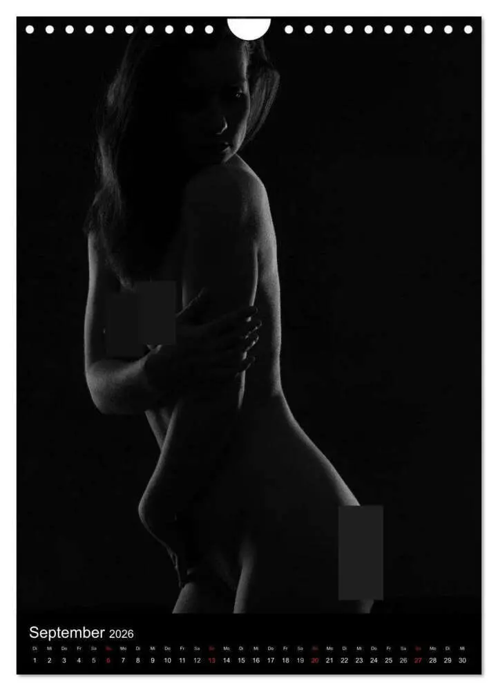 Bild: 9783516482294 | Erotische Silhouetten / CH-Version (Wandkalender 2026 DIN A4 hoch),...