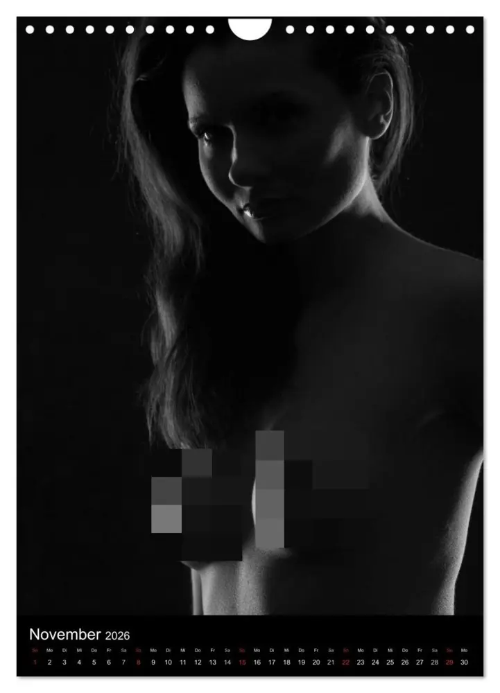 Bild: 9783516482294 | Erotische Silhouetten / CH-Version (Wandkalender 2026 DIN A4 hoch),...