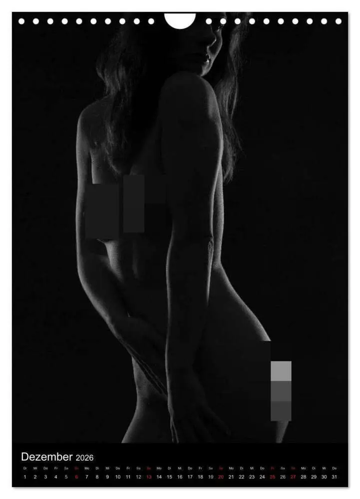 Bild: 9783516482294 | Erotische Silhouetten / CH-Version (Wandkalender 2026 DIN A4 hoch),...