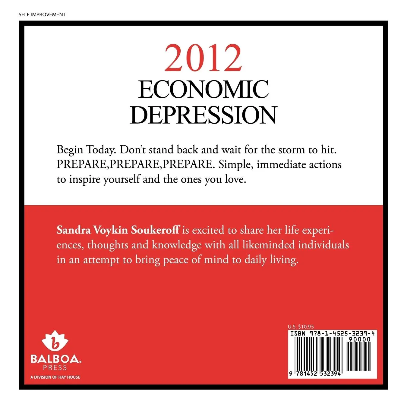 Rückseite: 9781452532394 | 2012 Economic Depression | Tips on Weathering the Storm | Soukeroff