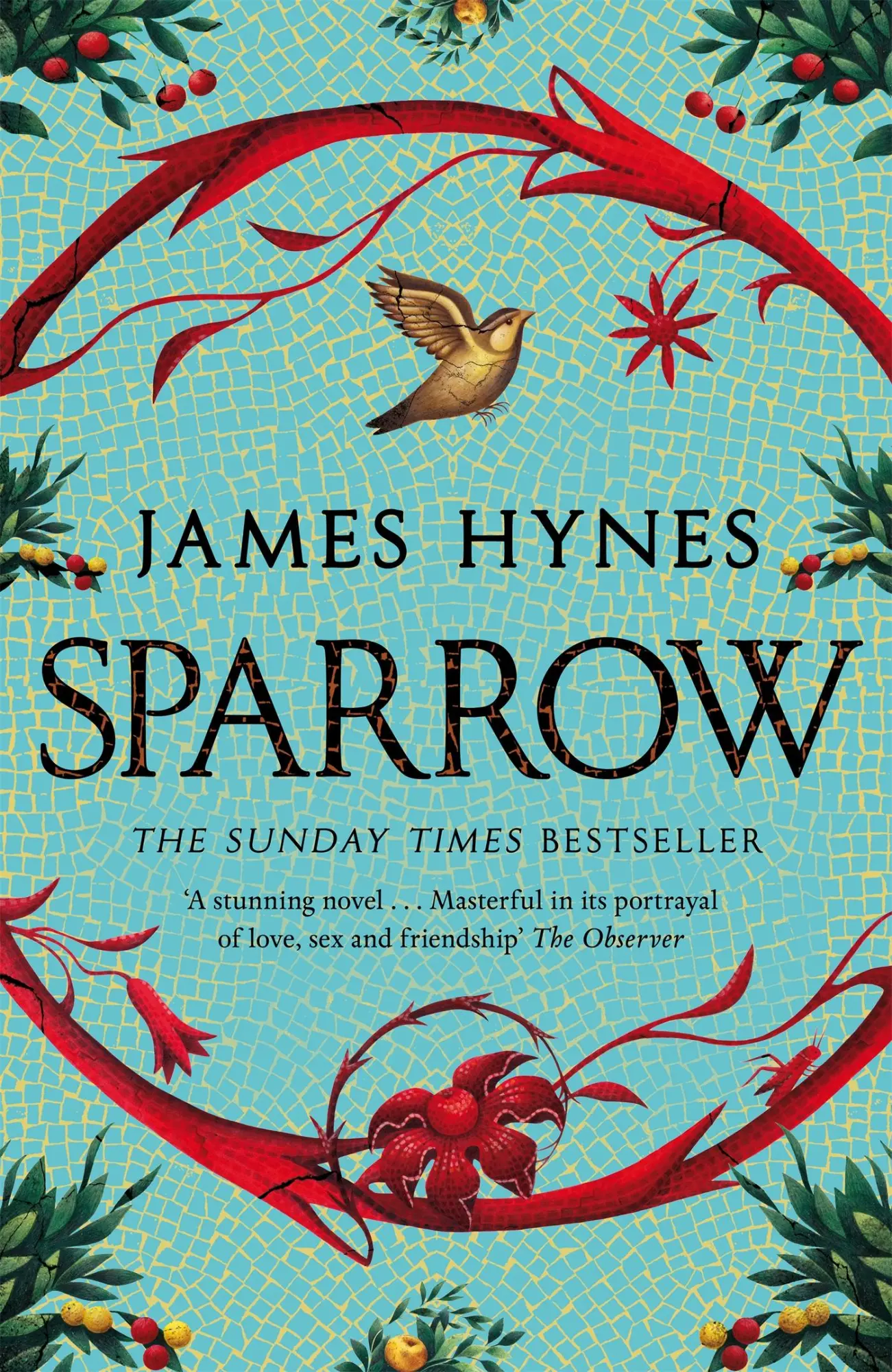 Cover: 9781529092394 | Sparrow | James Hynes | Buch | Gebunden | Englisch | 2023