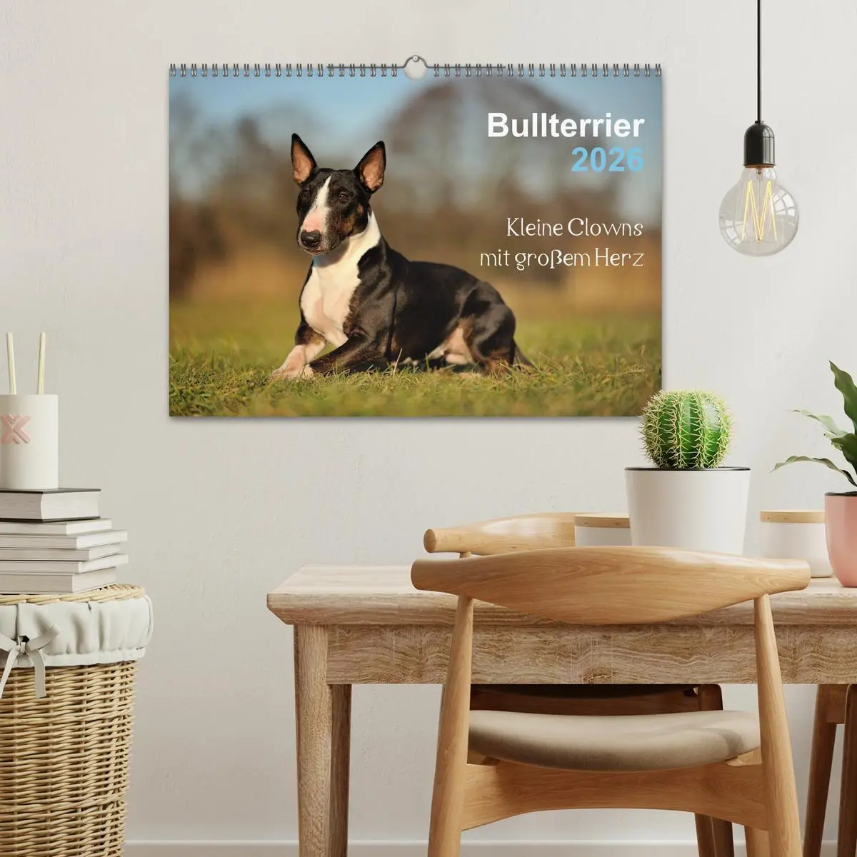 Bild: 9783516092394 | Bullterrier 2026 - Kleine Clowns mit großem Herz (Wandkalender 2026...