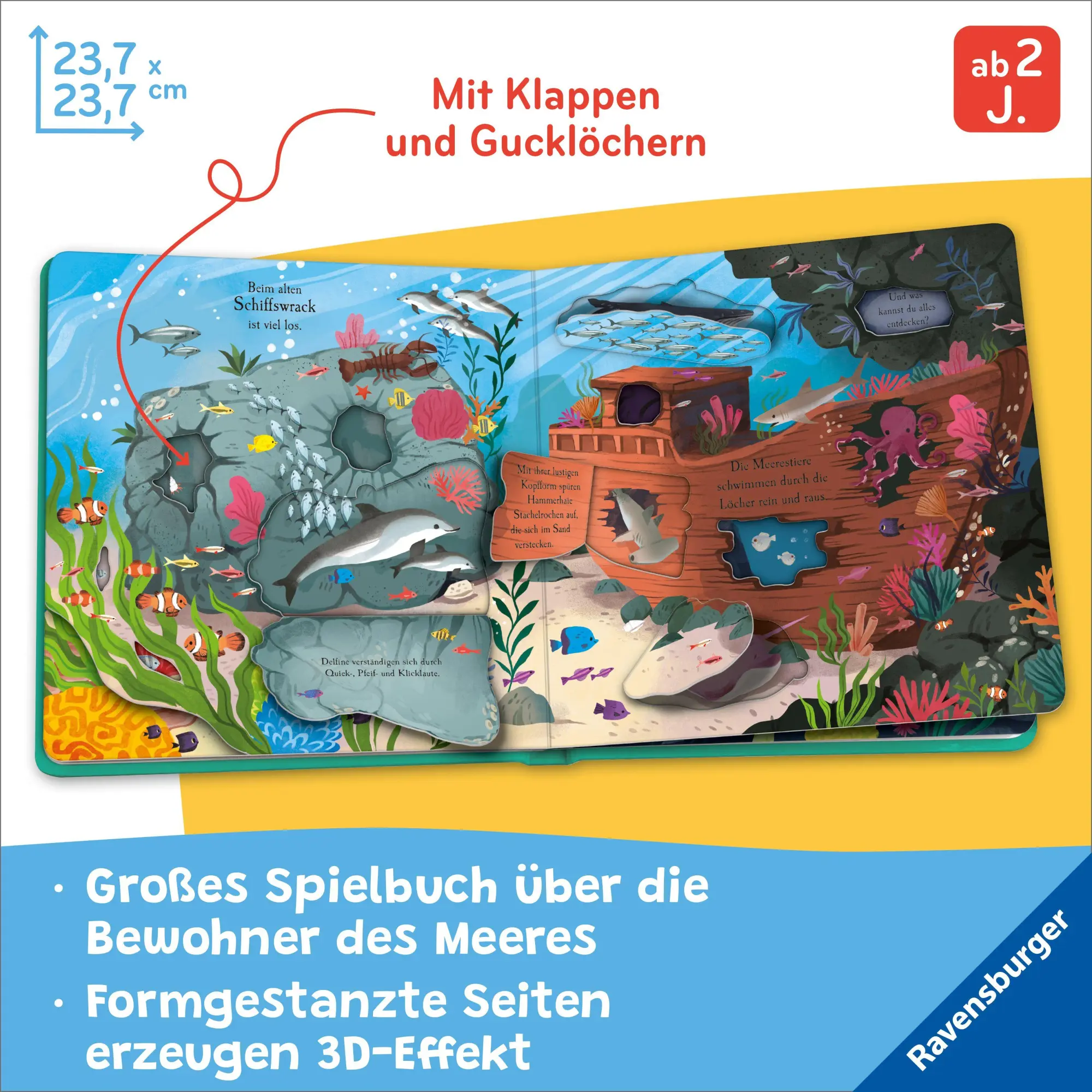 Bild: 9783473422494 | Auf Entdeckungstour: Im Meer | Laura Garnerburt | Buch | 12 S. | 2026
