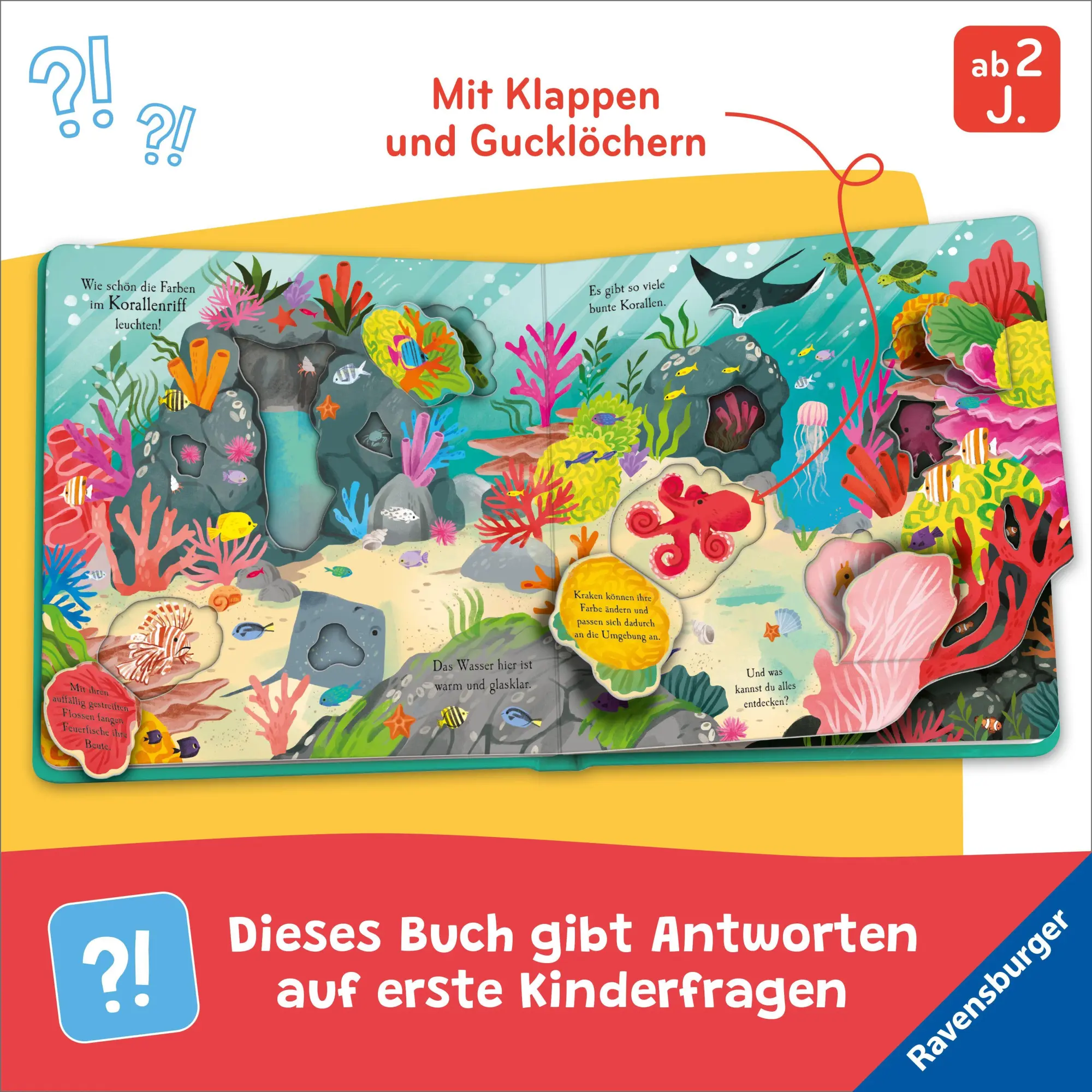 Bild: 9783473422494 | Auf Entdeckungstour: Im Meer | Laura Garnerburt | Buch | 12 S. | 2026