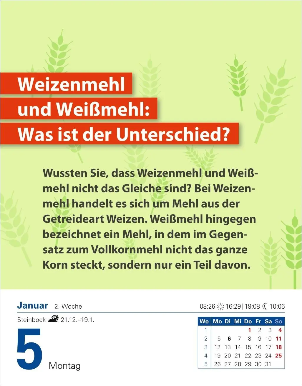 Bild: 9783756412594 | Die Ernährungs-Docs - Gesund durch das Jahr Tagesabreißkalender 2026