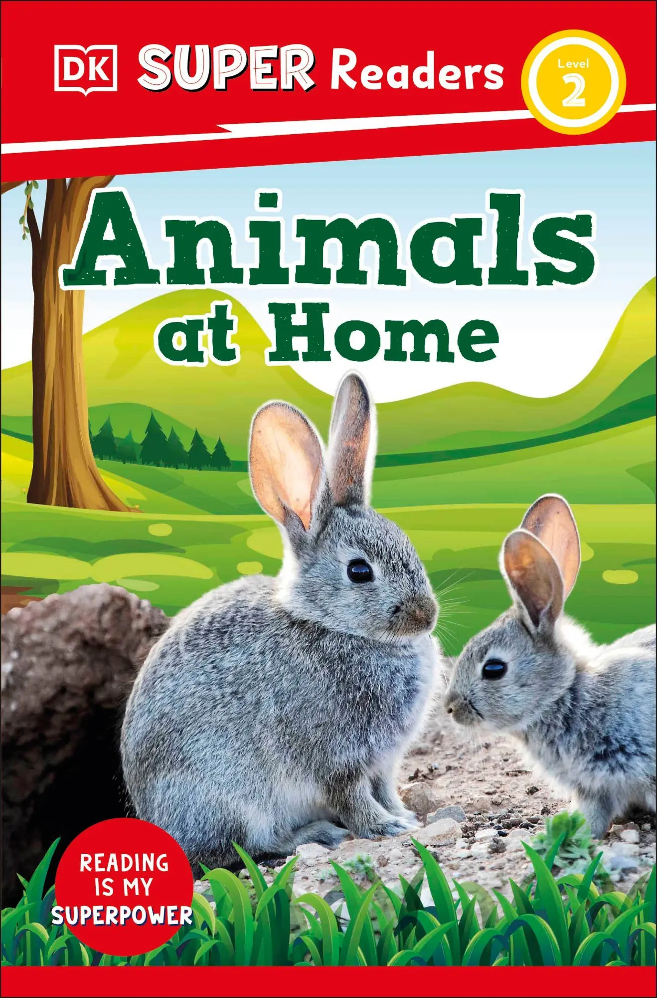 Cover: 9780241592694 | DK Super Readers Level 2 Animals at Home | DK | Taschenbuch | Englisch