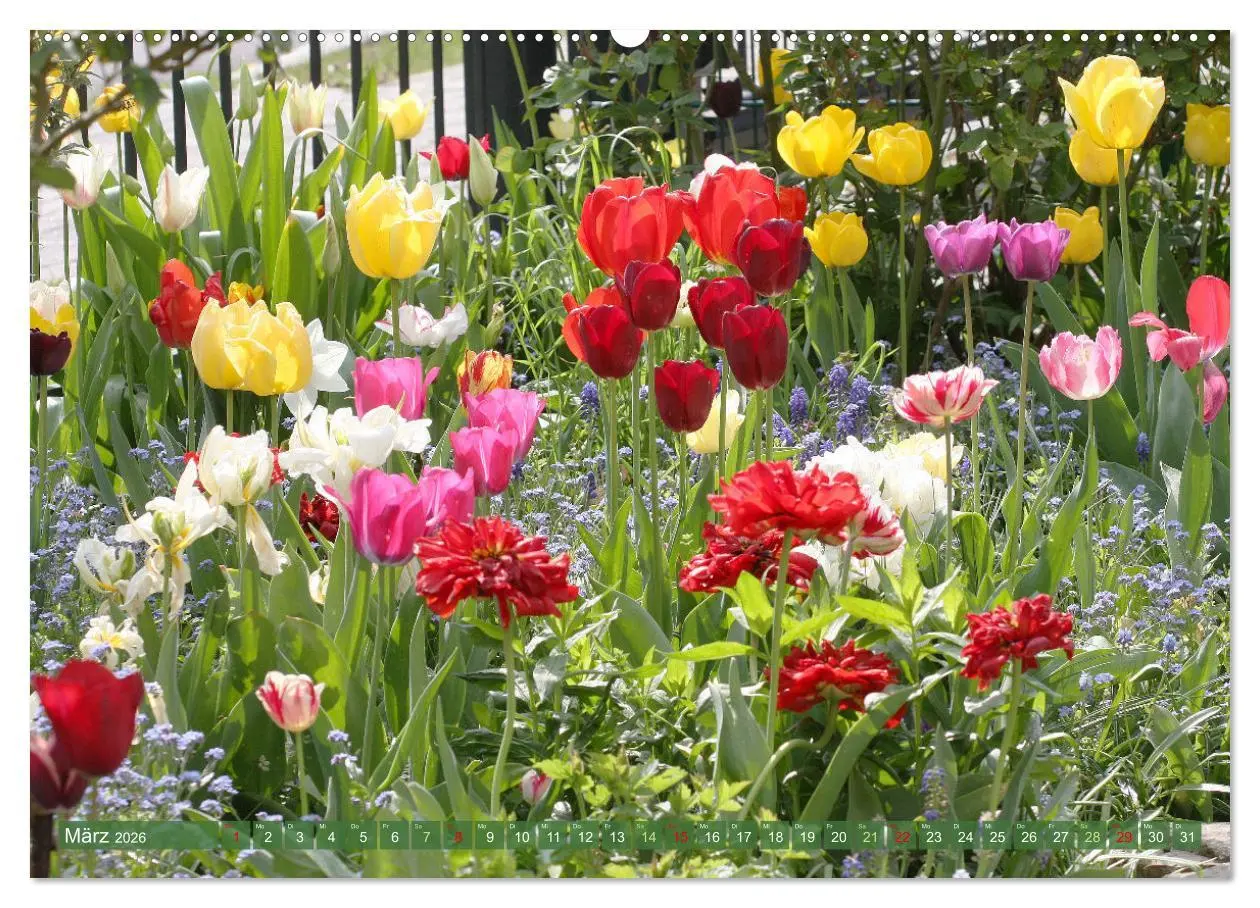 Bild: 9783457282694 | Im Reich der Blüten (Wandkalender 2026 DIN A2 quer), CALVENDO...