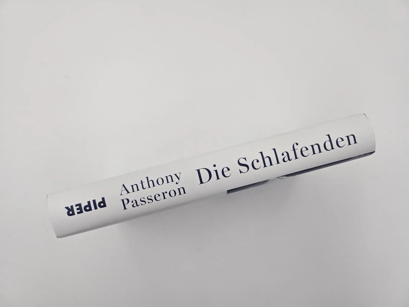 Bild: 9783492072694 | Die Schlafenden | Anthony Passeron | Buch | 256 S. | Deutsch | 2024