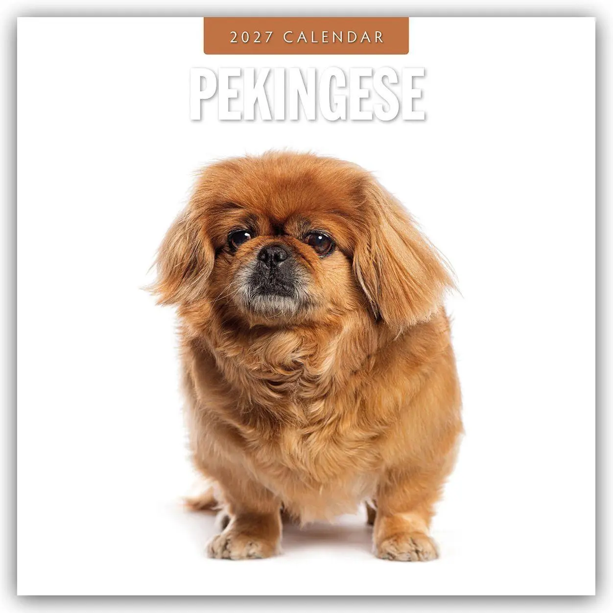 Cover: 9781837012794 | Pekingese - Pekinese - Peking Palasthund 2027 - 16-Monatskalender