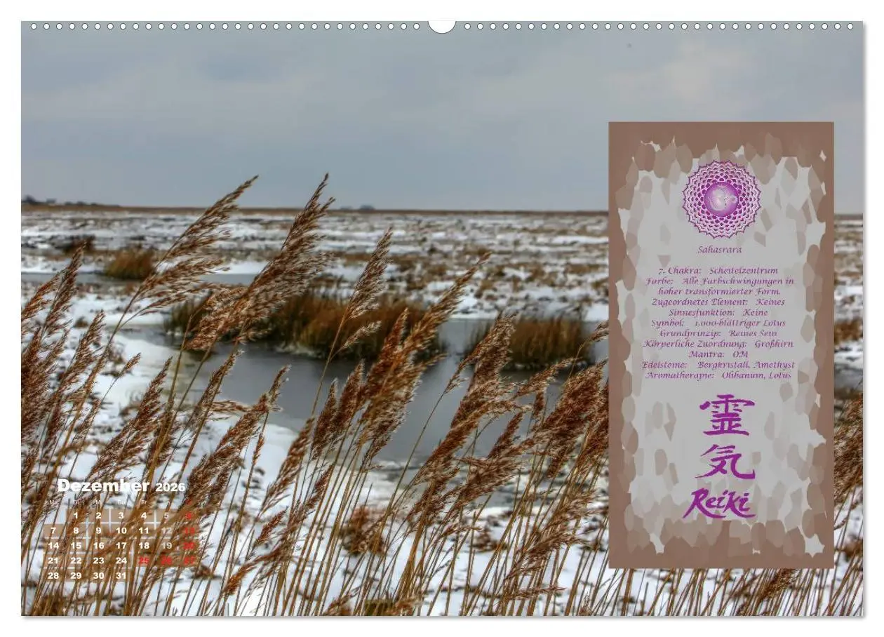 Bild: 9783516052794 | REIKI - Chakrameditation (Wandkalender 2026 DIN A2 quer), CALVENDO...