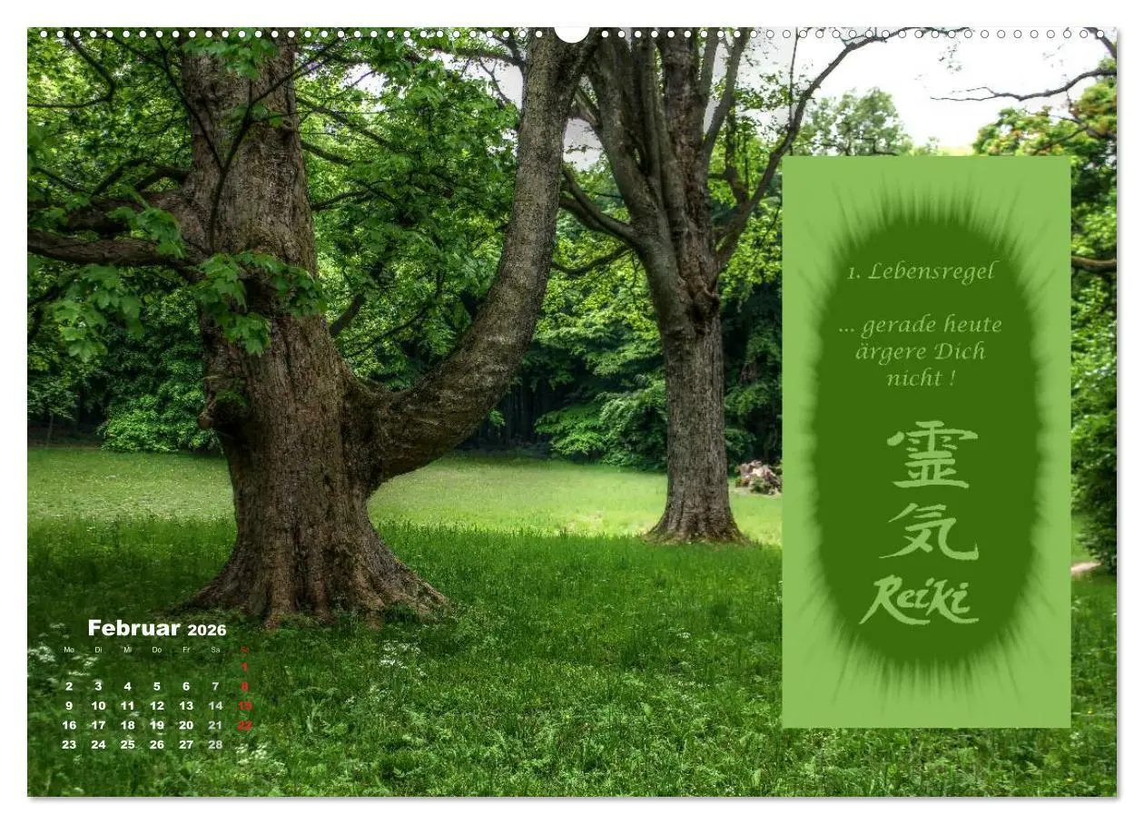 Bild: 9783516052794 | REIKI - Chakrameditation (Wandkalender 2026 DIN A2 quer), CALVENDO...