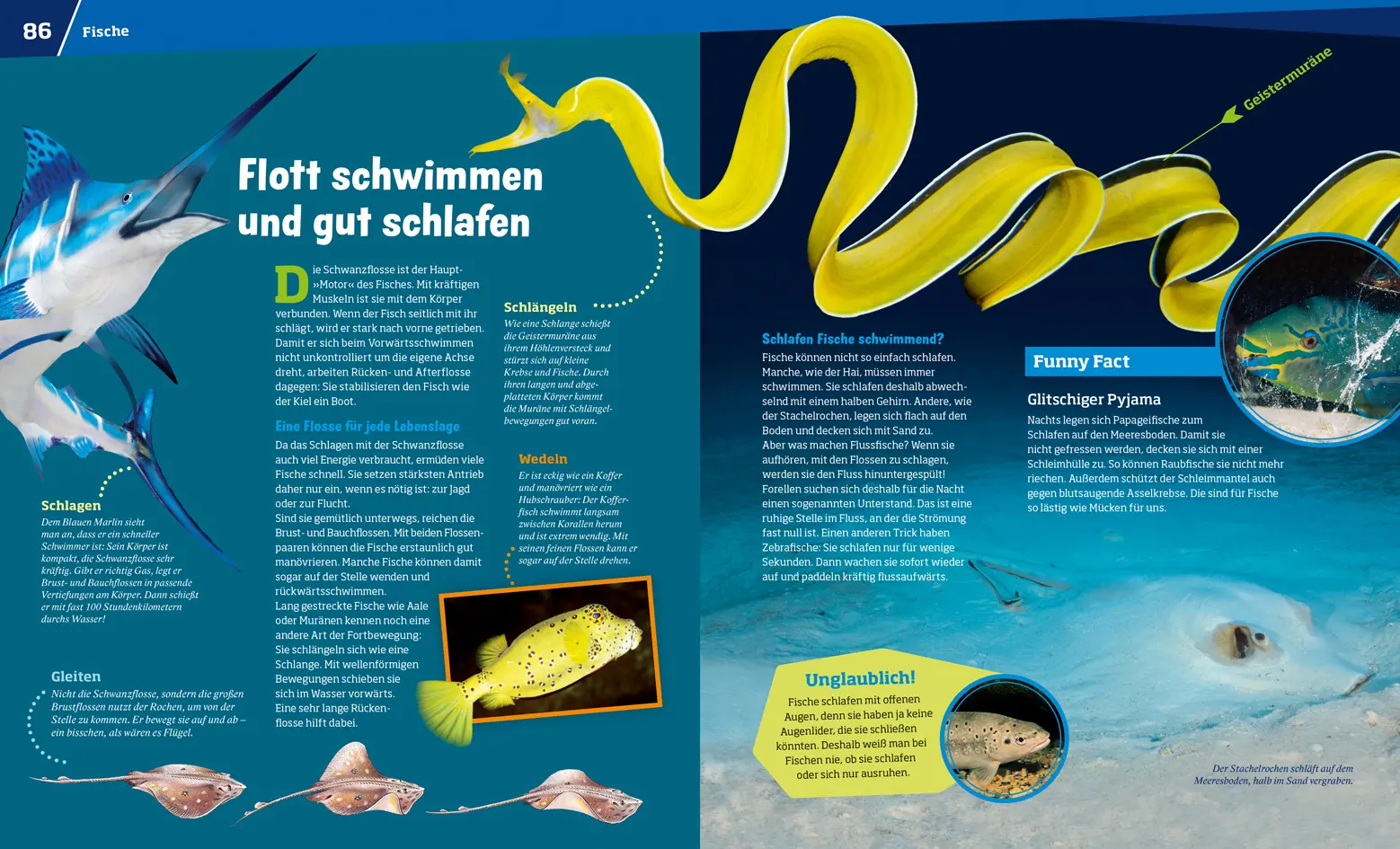 Bild: 9783788622794 | WAS IST WAS Entdecke die Tierwelt | Spannende Fakten zum Staunen