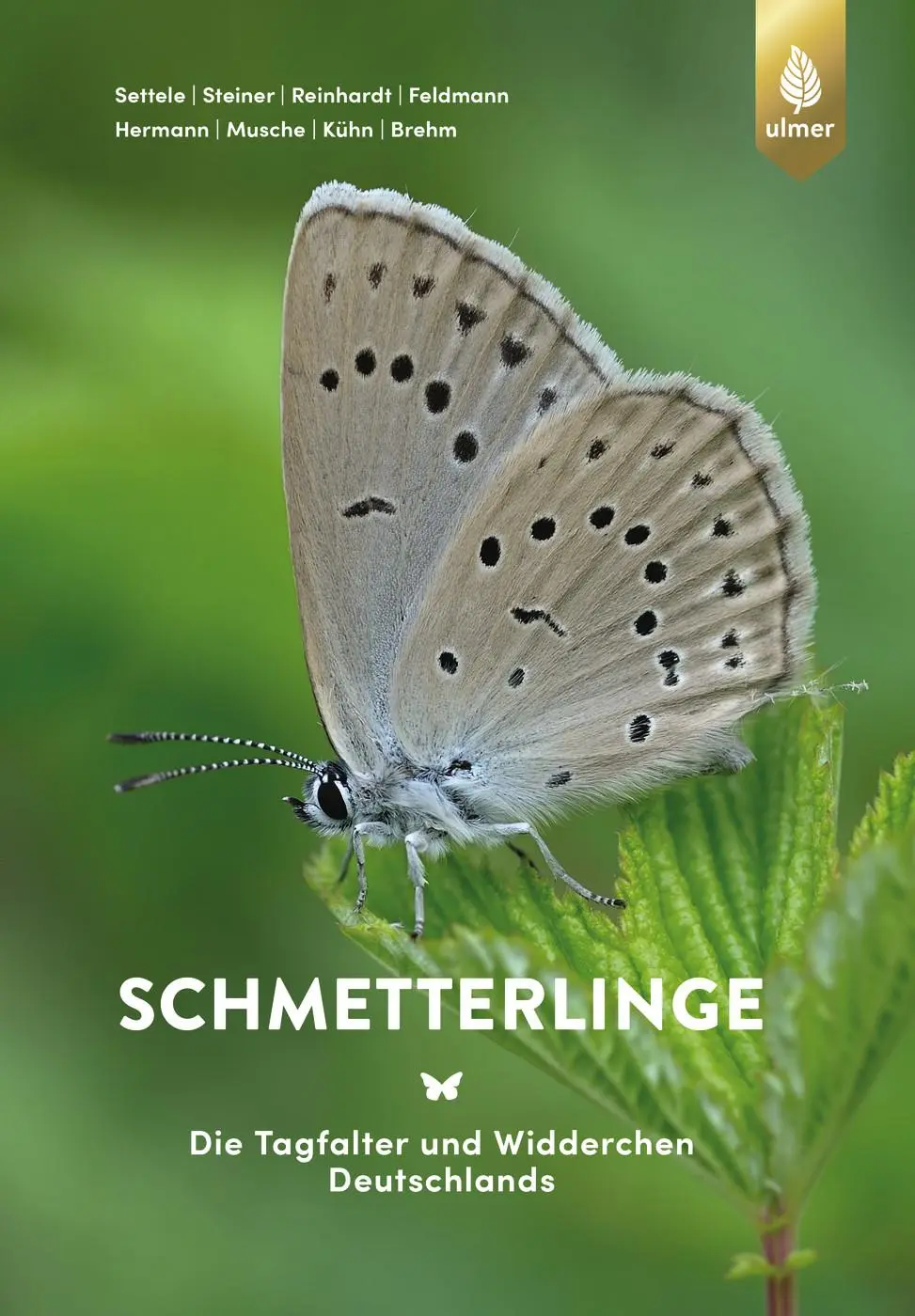 Cover: 9783818612894 | Schmetterlinge | Josef Settele (u. a.) | Taschenbuch | 288 S. | 2025