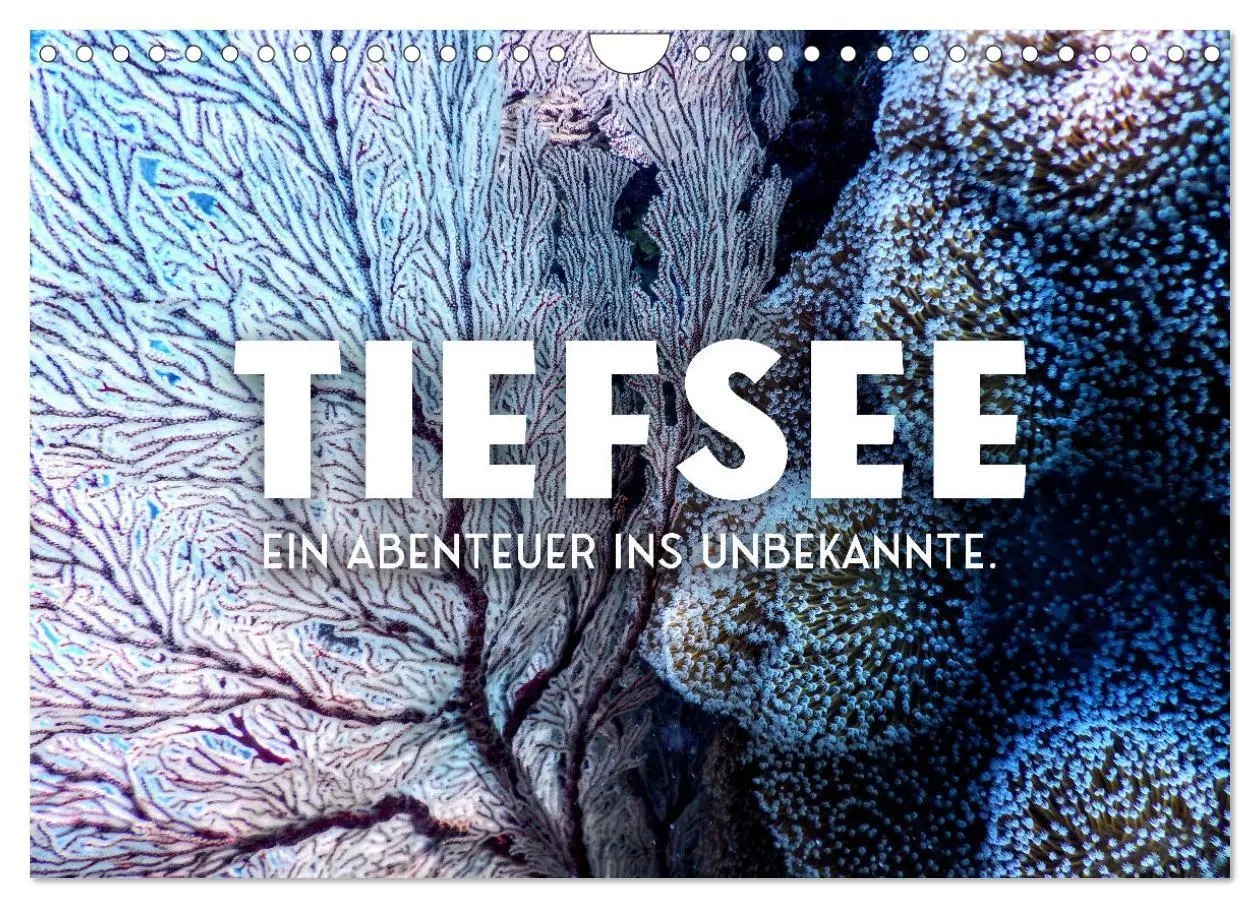 Cover: 9783457562994 | Tiefsee - Ein Abenteuer ins Unbekannte. (Wandkalender 2026 DIN A4...