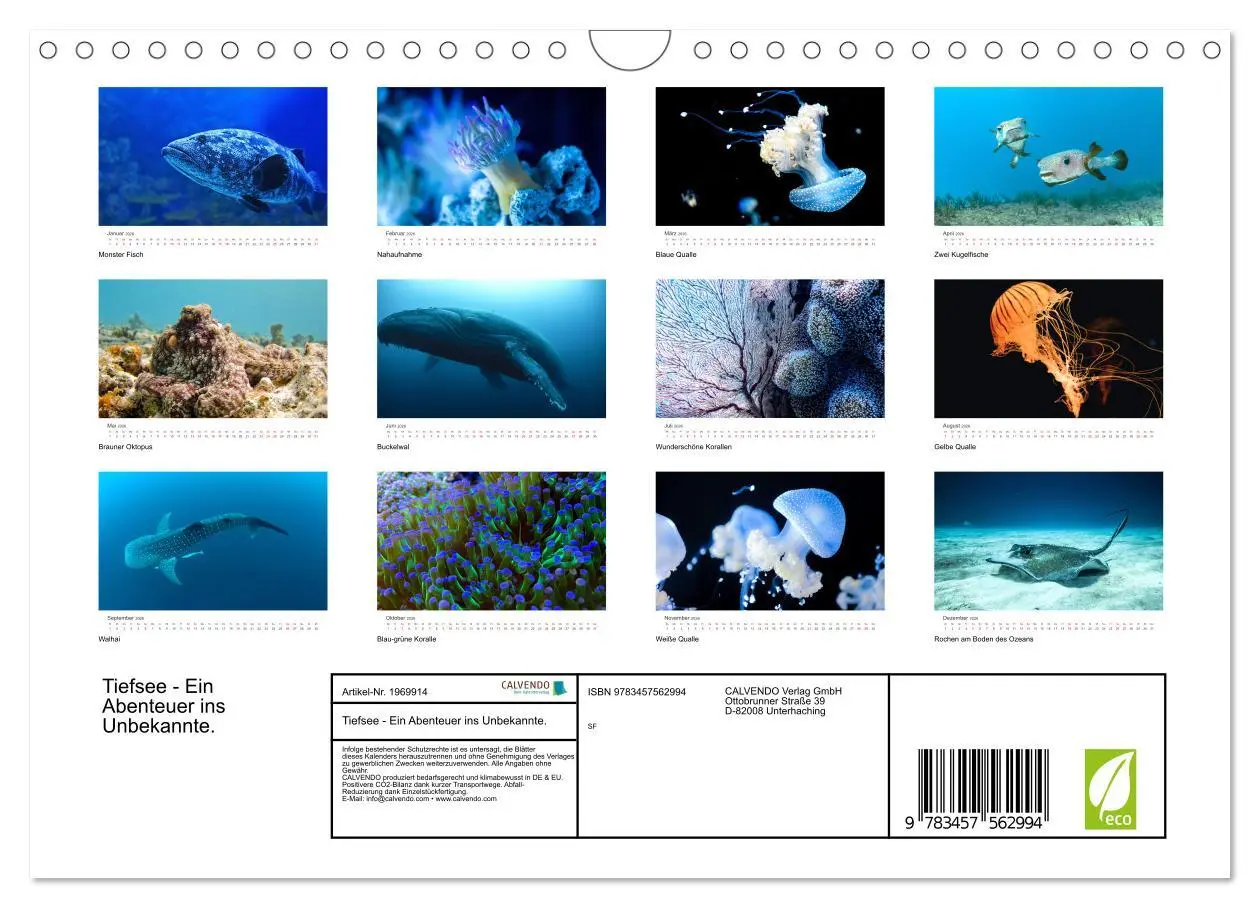 Bild: 9783457562994 | Tiefsee - Ein Abenteuer ins Unbekannte. (Wandkalender 2026 DIN A4...