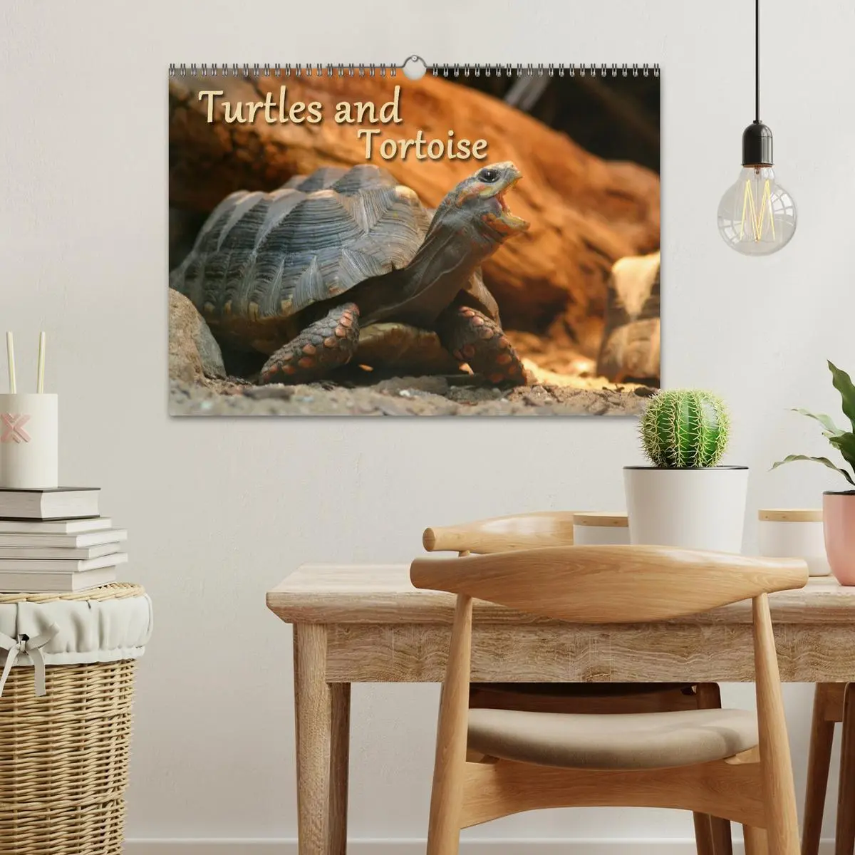 Bild: 9783516582994 | Turtles and Tortoise / UK-Version (Wall Calendar 2026 DIN A3...