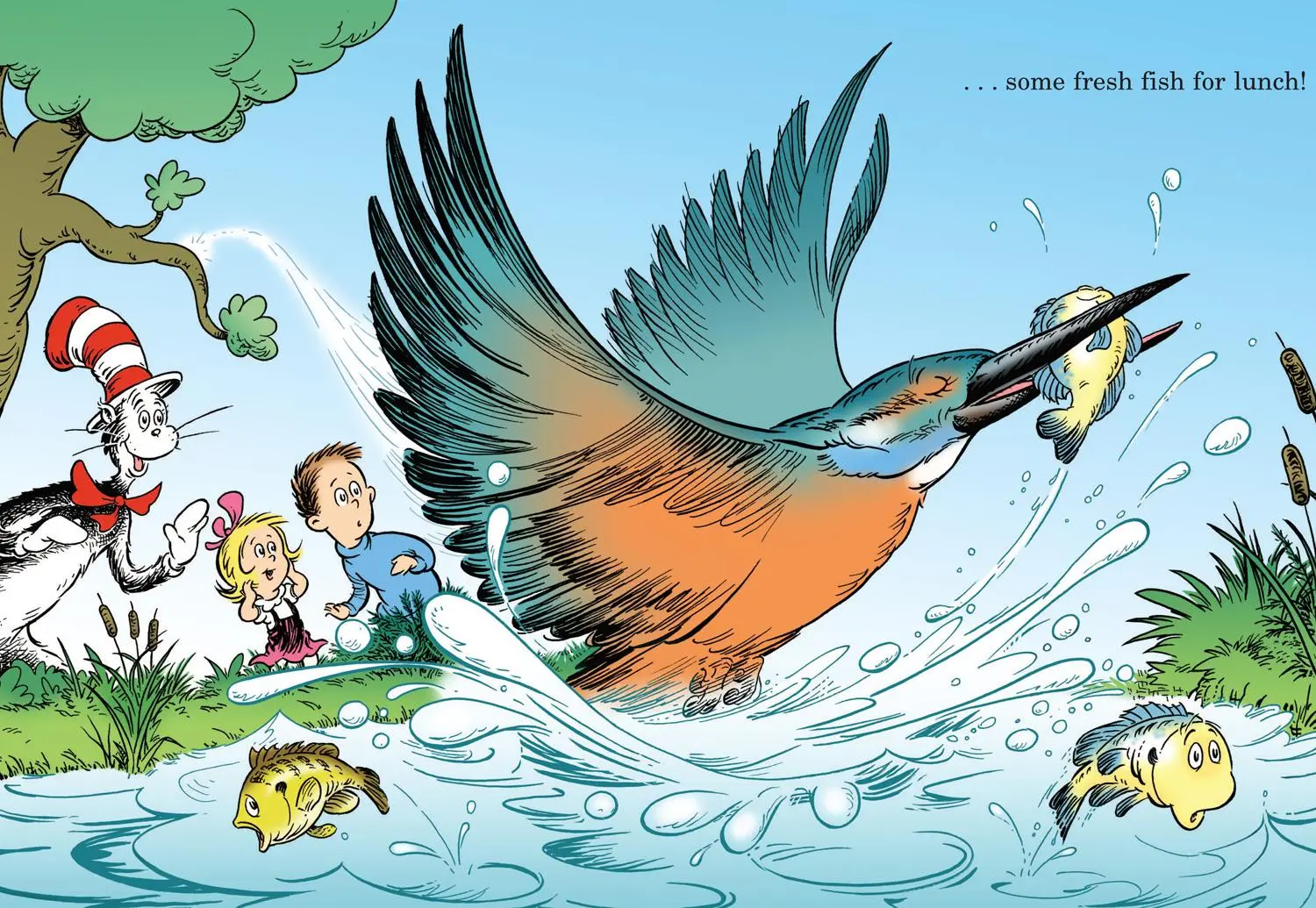 Bild: 9780007433094 | Would you rather be a tadpole? | Seuss | Taschenbuch | Englisch | 2011