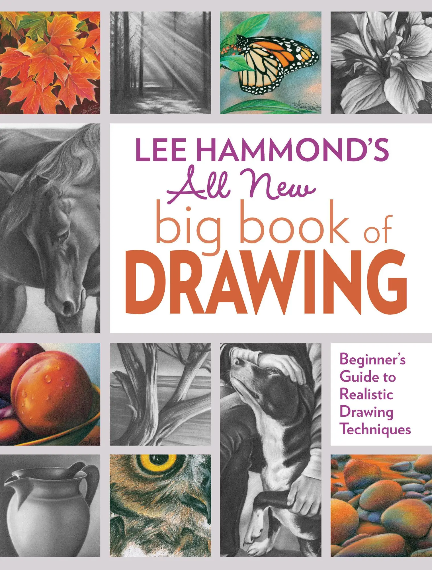 Cover: 9781440343094 | Lee Hammond's All New Big Book of Drawing: Beginner's Guide to...