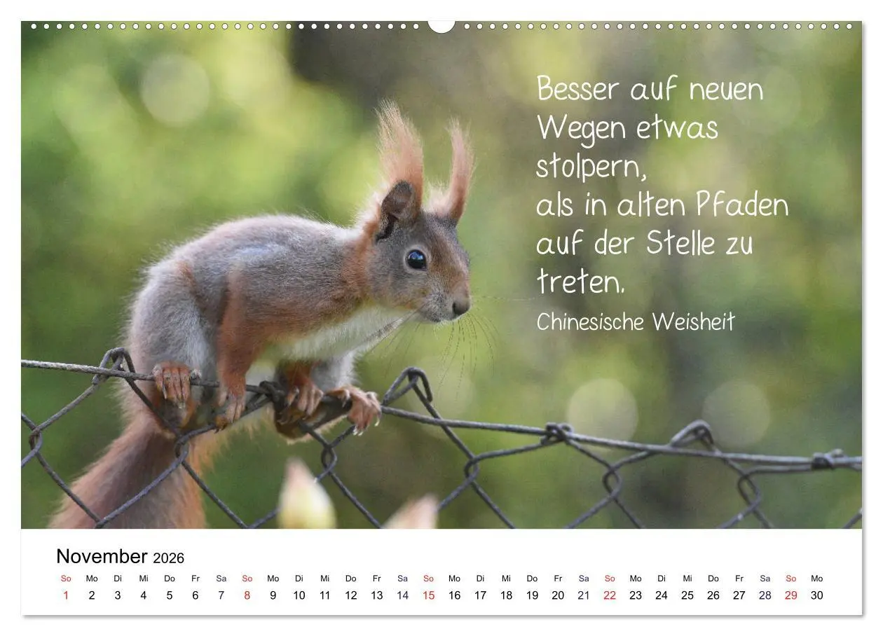 Bild: 9783457763094 | Der literarische Eichhörnchen-Kalender (hochwertiger Premium...