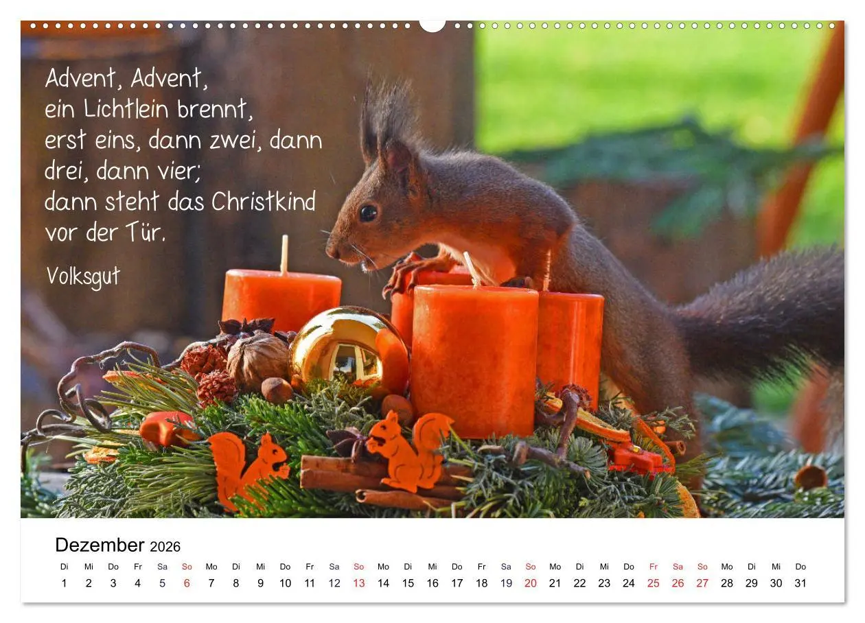 Bild: 9783457763094 | Der literarische Eichhörnchen-Kalender (hochwertiger Premium...