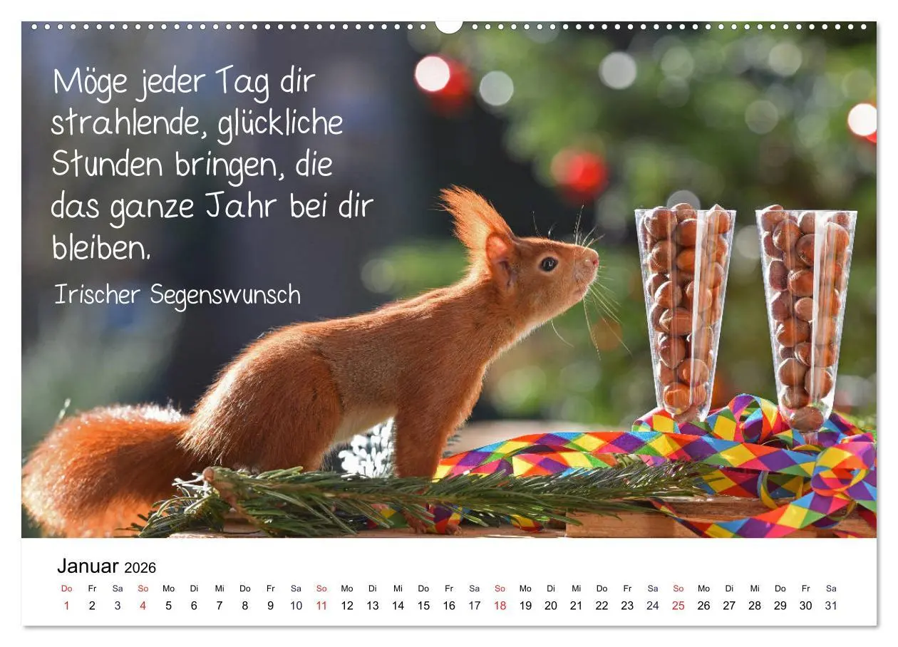 Bild: 9783457763094 | Der literarische Eichhörnchen-Kalender (hochwertiger Premium...