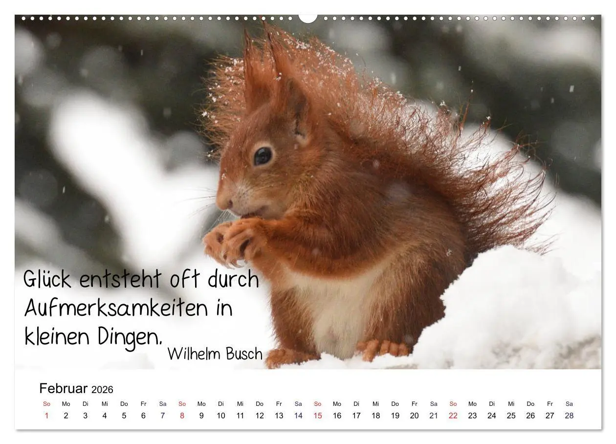 Bild: 9783457763094 | Der literarische Eichhörnchen-Kalender (hochwertiger Premium...