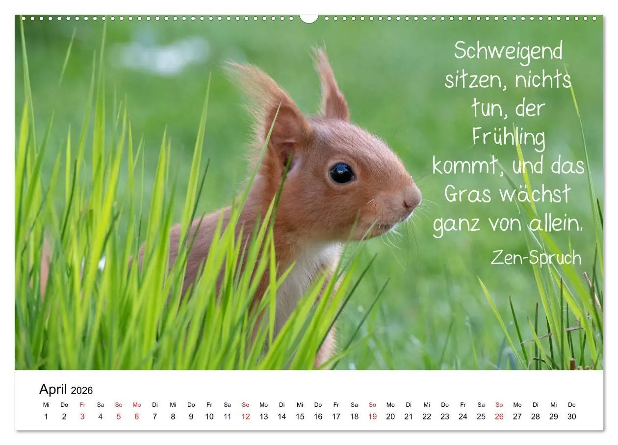 Bild: 9783457763094 | Der literarische Eichhörnchen-Kalender (hochwertiger Premium...