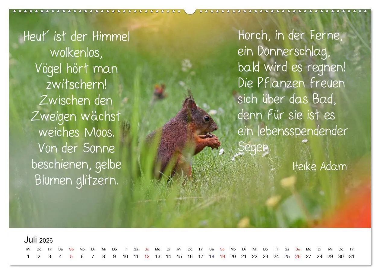 Bild: 9783457763094 | Der literarische Eichhörnchen-Kalender (hochwertiger Premium...