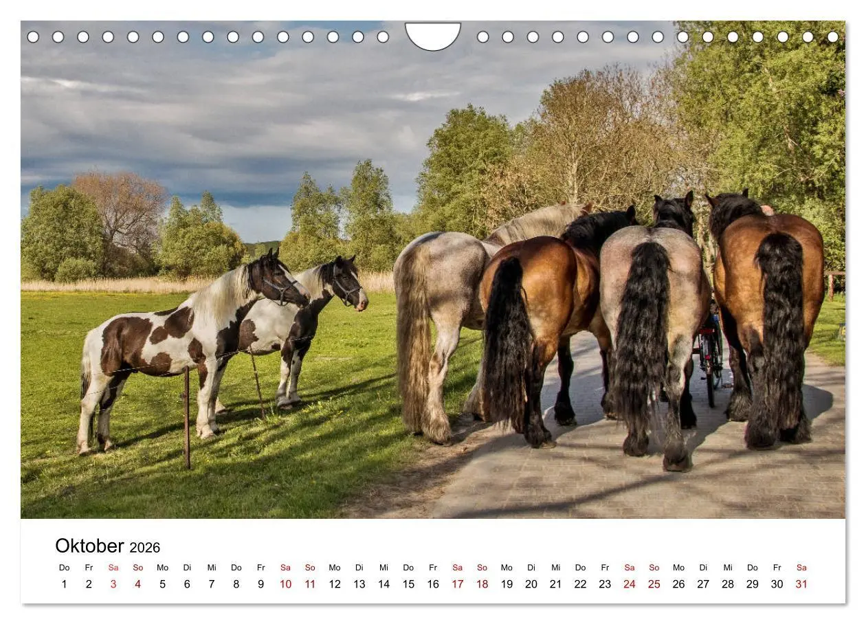 Bild: 9783457903094 | Ein Tag auf der Insel Hiddensee (Wandkalender 2026 DIN A4 quer),...