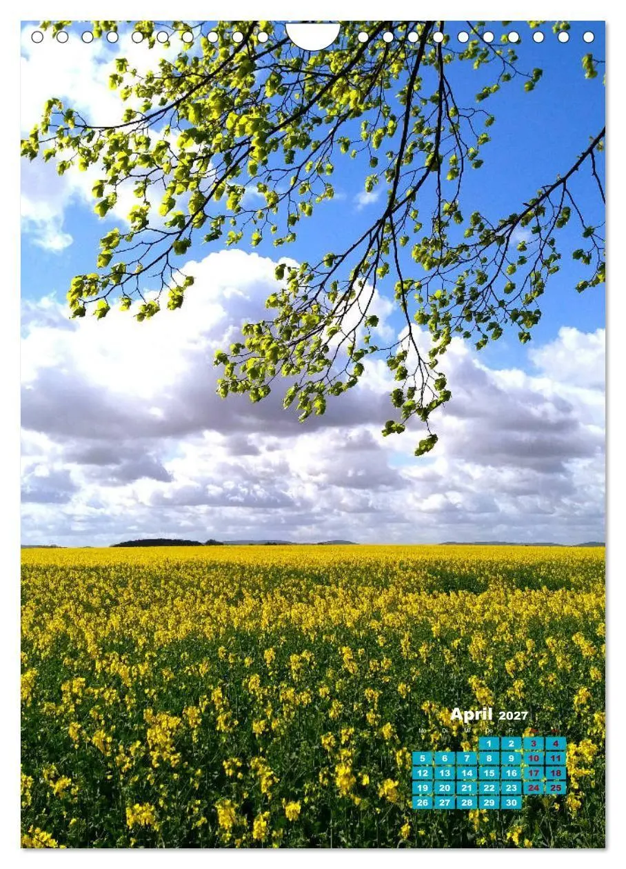 Bild: 9783569703094 | Stille der Natur (Wandkalender 2027 DIN A4 hoch), CALVENDO...