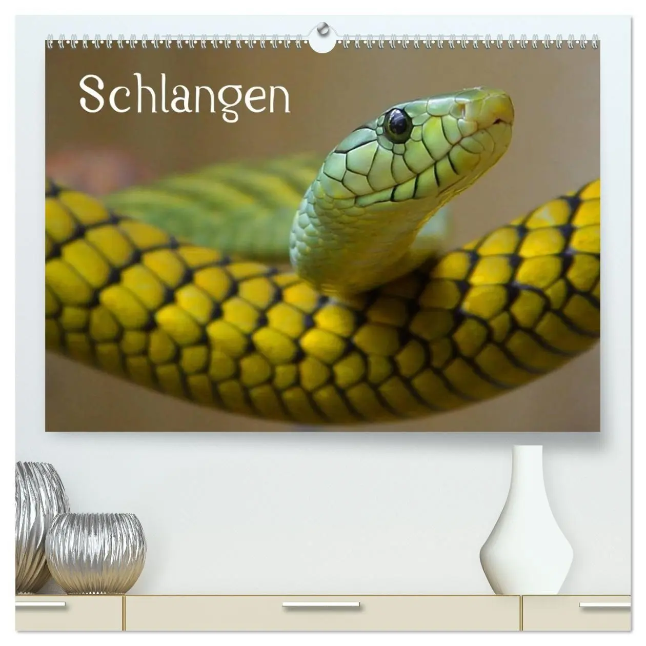 Cover: 9783594143094 | Schlangen (hochwertiger Premium Wandkalender 2027 DIN A2 quer),...
