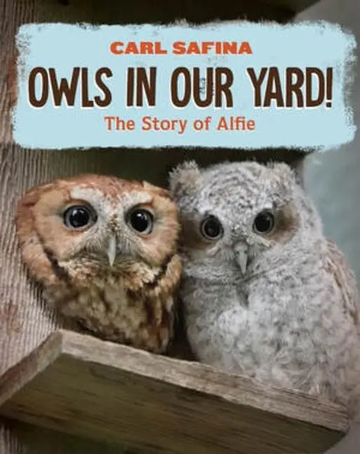Cover: 9781324053194 | Owls in Our Yard! | The Story of Alfie | Carl Safina | Buch | Englisch