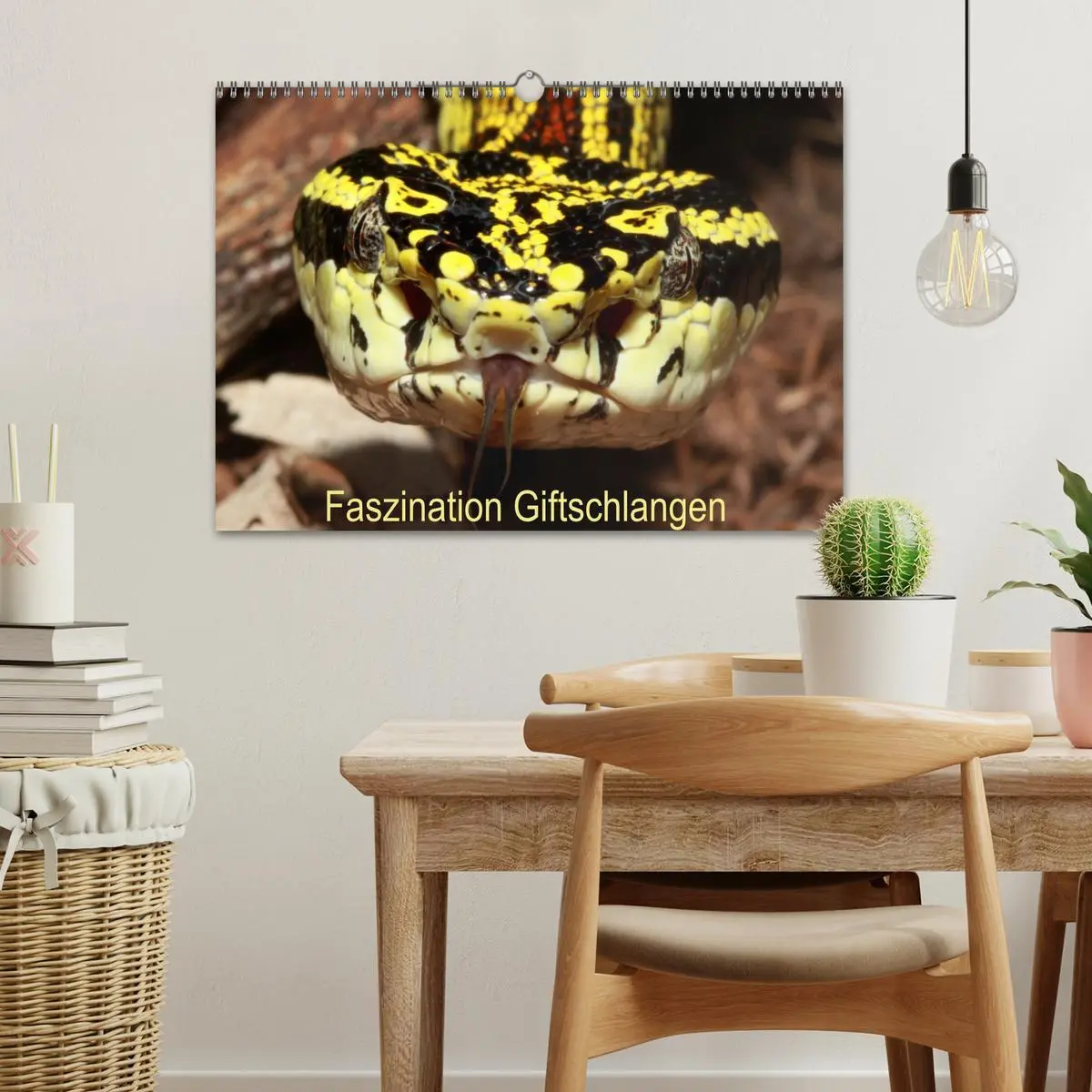 Bild: 9783457363294 | Faszination Giftschlangen (Wandkalender 2026 DIN A3 quer), CALVENDO...