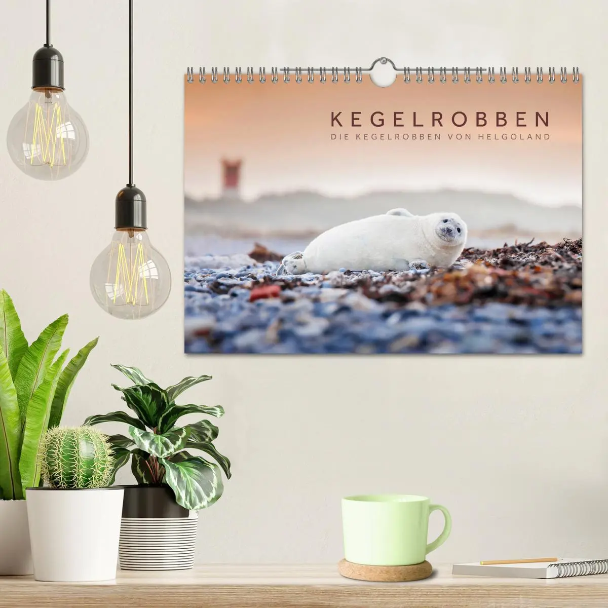 Bild: 9783457813294 | Kegelrobben - Die Kegelrobben von Helgoland (Wandkalender 2026 DIN...