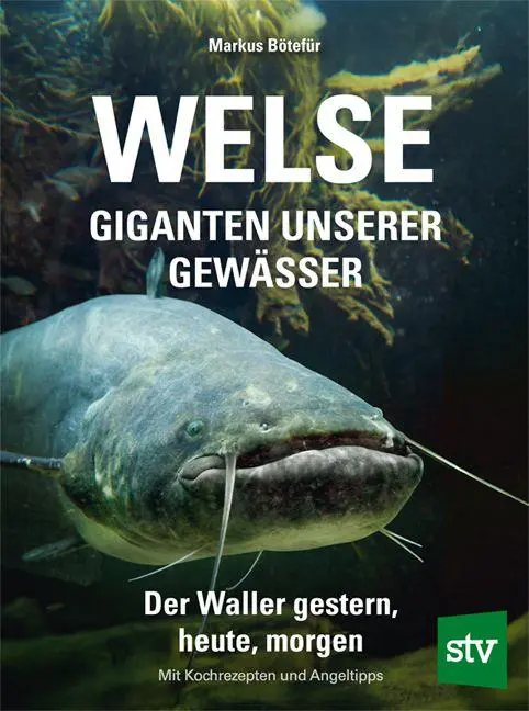 Cover: 9783702023294 | Welse - Giganten unserer Gewässer | Der Waller gestern, heute, morgen