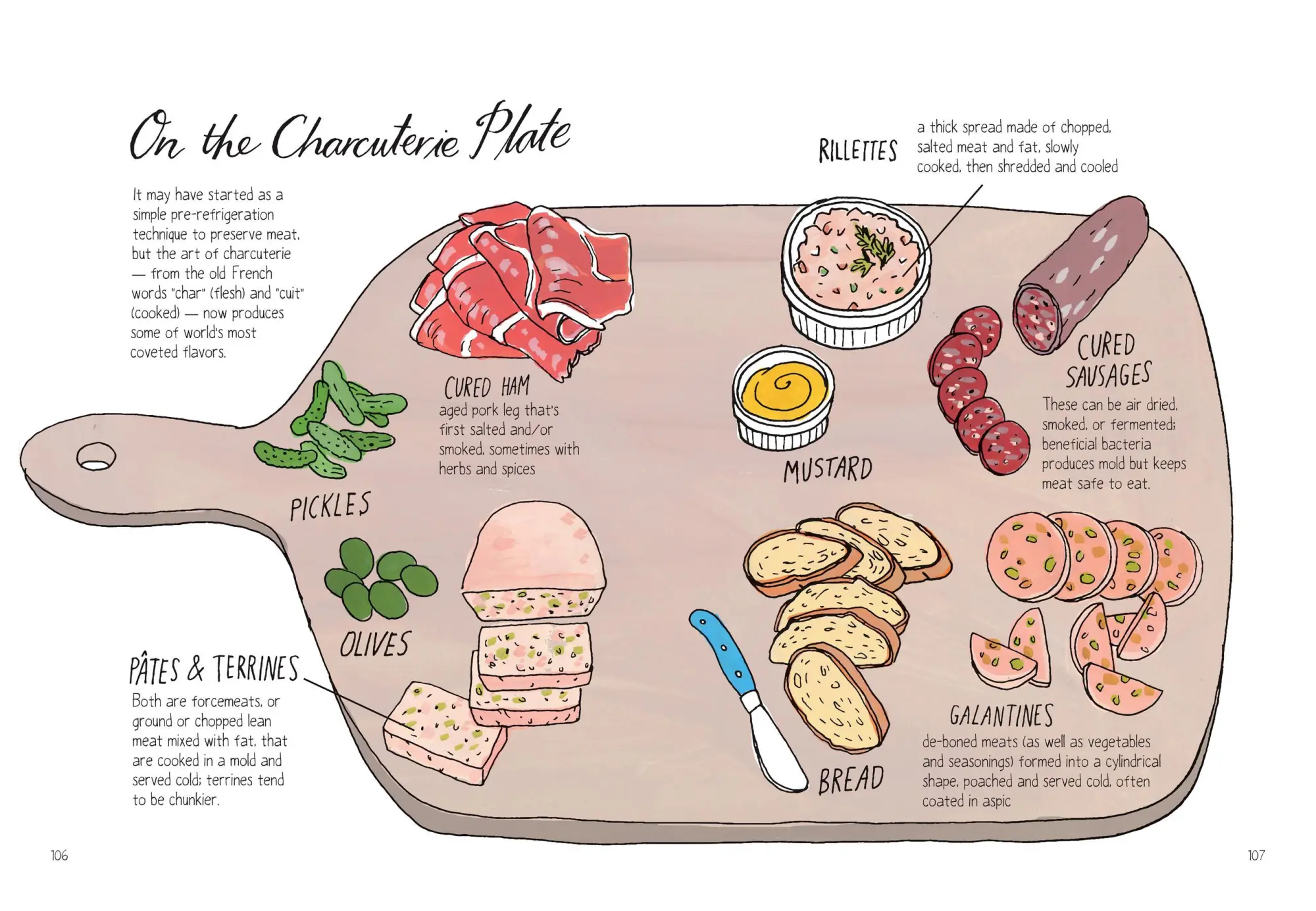 Bild: 9781612123394 | Food Anatomy | The Curious Parts &amp; Pieces of Our Edible World | Buch