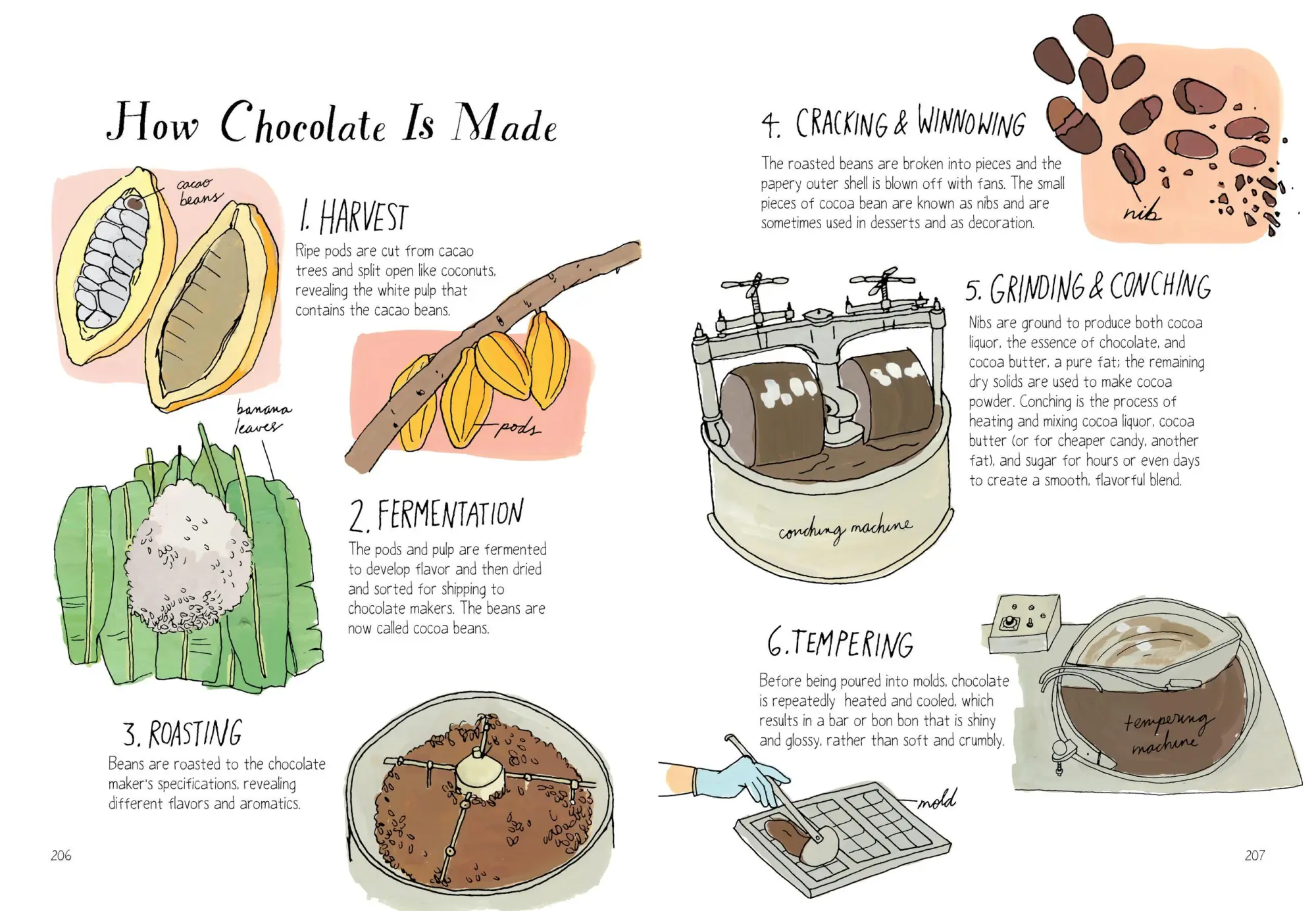 Bild: 9781612123394 | Food Anatomy | The Curious Parts &amp; Pieces of Our Edible World | Buch