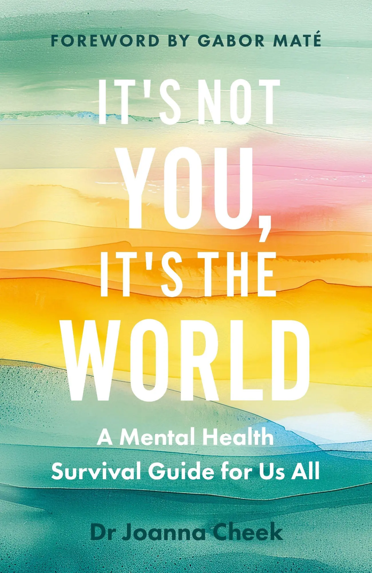 Cover: 9781837263394 | It's Not You, It's the World | Joanna Cheek | Buch | Canongate Books