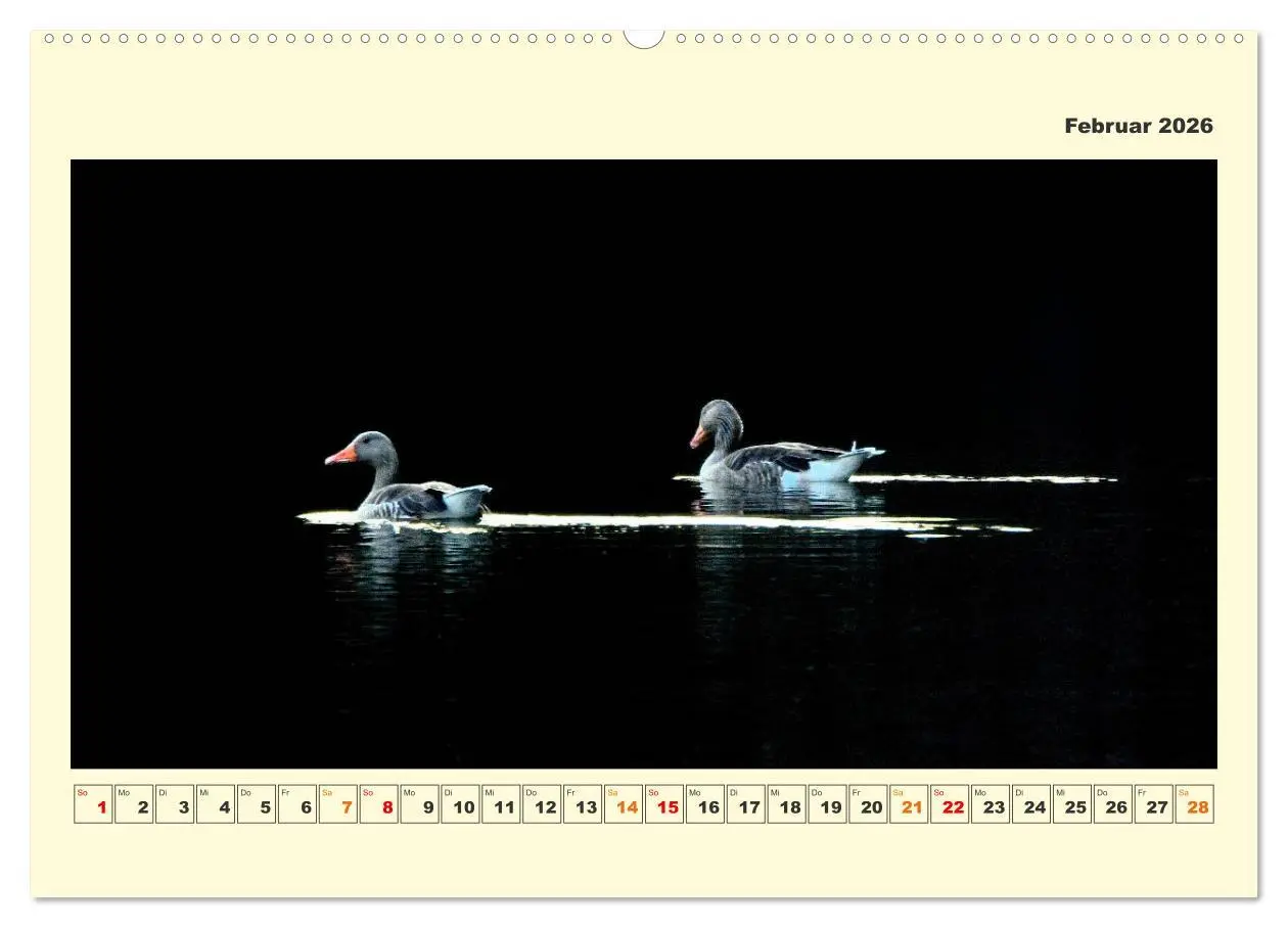 Bild: 9783457423394 | Tierwelt der Wümmeniederung (hochwertiger Premium Wandkalender 2026...