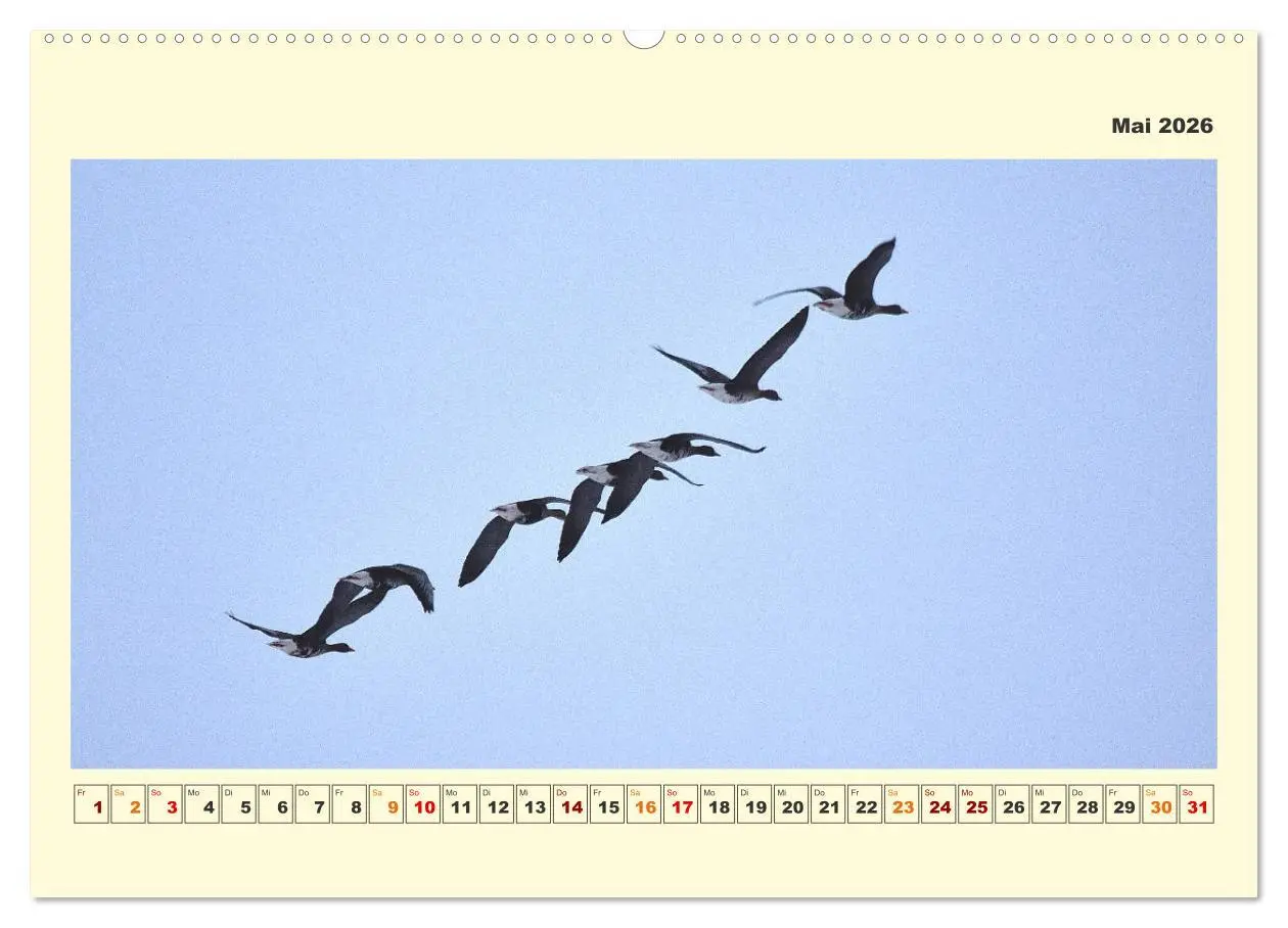 Bild: 9783457423394 | Tierwelt der Wümmeniederung (hochwertiger Premium Wandkalender 2026...