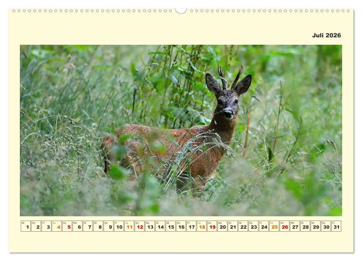 Bild: 9783457423394 | Tierwelt der Wümmeniederung (hochwertiger Premium Wandkalender 2026...
