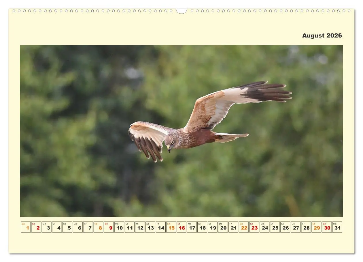 Bild: 9783457423394 | Tierwelt der Wümmeniederung (hochwertiger Premium Wandkalender 2026...