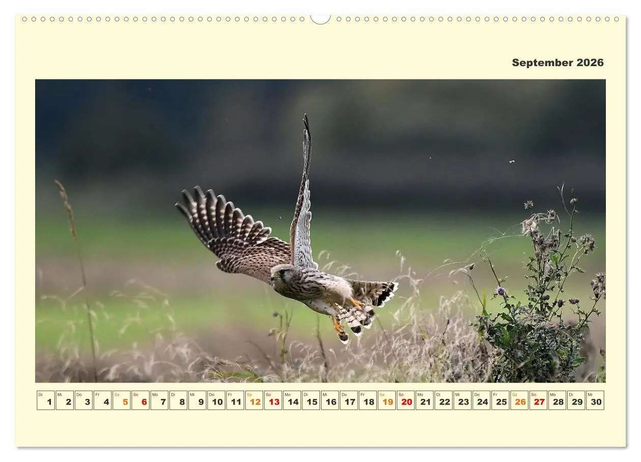 Bild: 9783457423394 | Tierwelt der Wümmeniederung (hochwertiger Premium Wandkalender 2026...