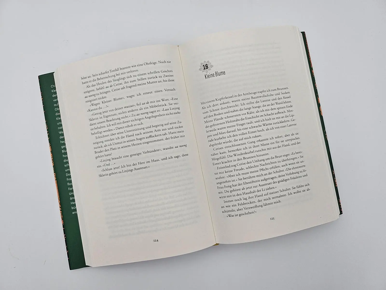 Bild: 9783492073394 | Die Lotosschuhe | Jane Yang | Buch | 384 S. | Deutsch | 2025
