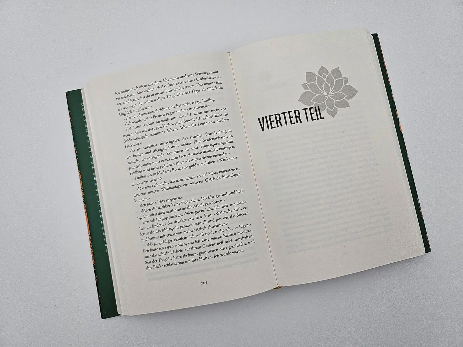 Bild: 9783492073394 | Die Lotosschuhe | Jane Yang | Buch | 384 S. | Deutsch | 2025