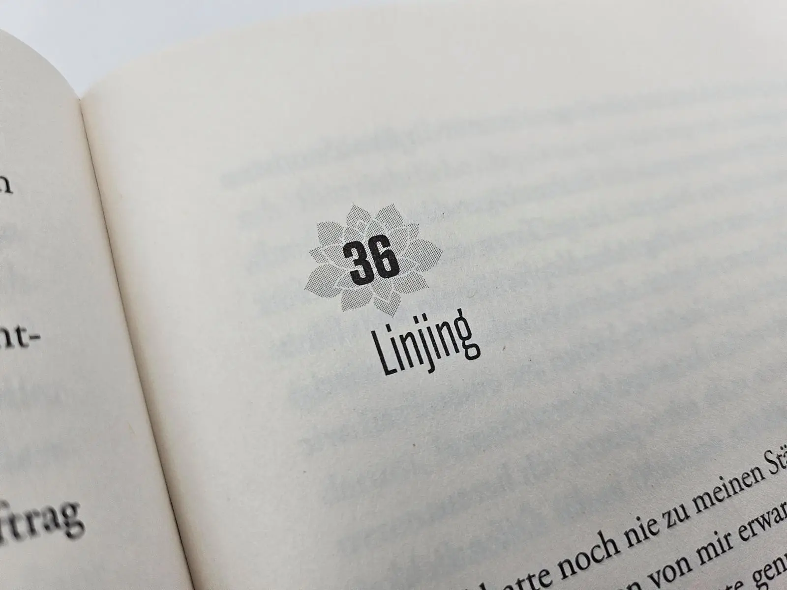 Bild: 9783492073394 | Die Lotosschuhe | Jane Yang | Buch | 384 S. | Deutsch | 2025