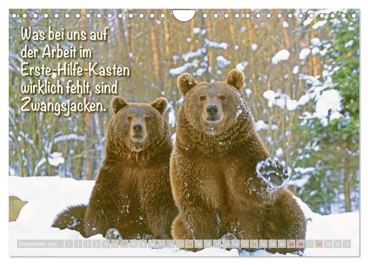 Bild: 9783383853494 | Spaß mit Bären: Edition lustige Tiere (Wandkalender 2025 DIN A4...