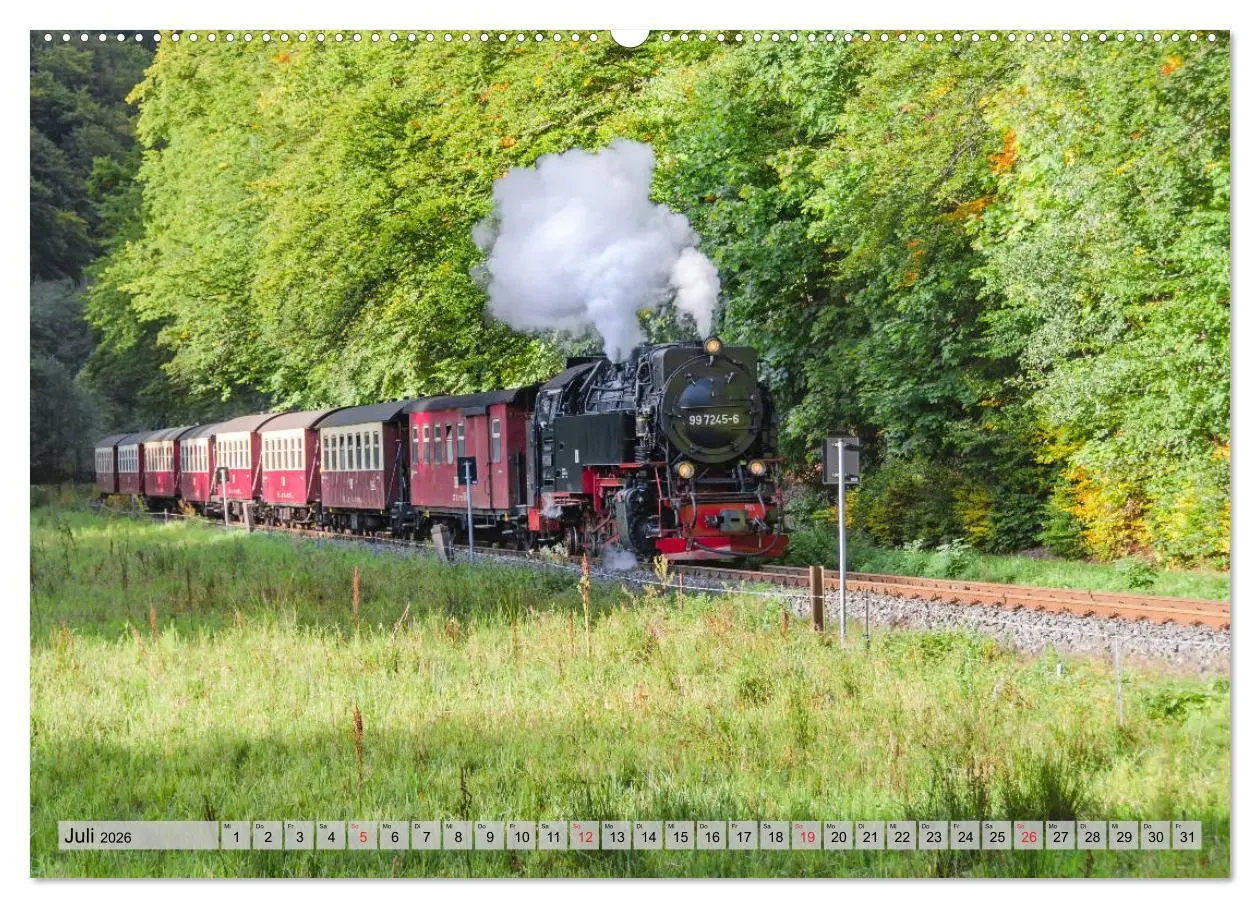 Bild: 9783457723494 | Volldampf durch den Harz (Wandkalender 2026 DIN A2 quer), CALVENDO...