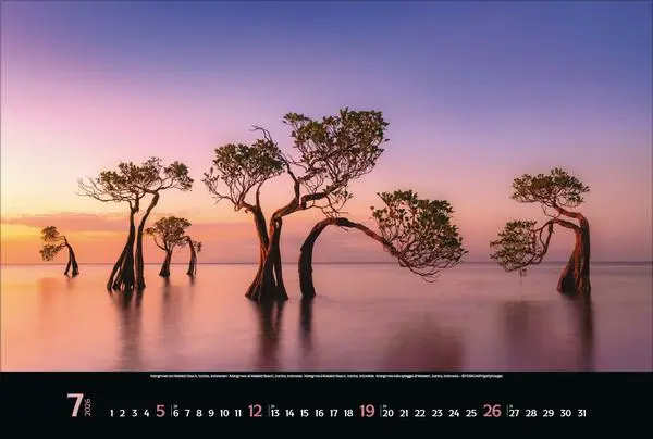 Bild: 9783731883494 | Spirit of Earth 2026 | Verlag Korsch | Kalender | 14 S. | Deutsch